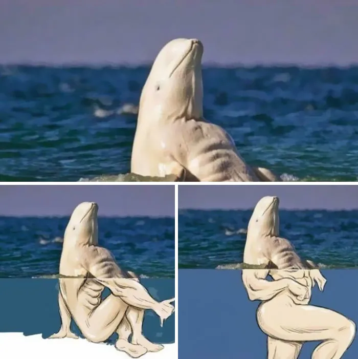 Gracias, odio a las ballenas beluga 