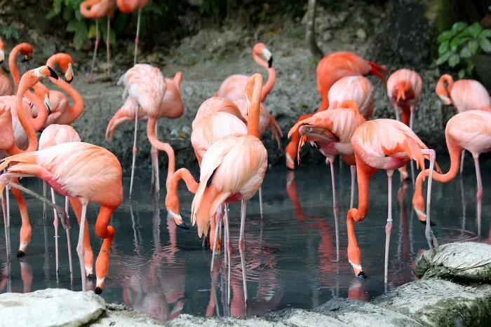 30 People Are Flexing Their Knowledge By Sharing The Most Interesting Random Facts They Know