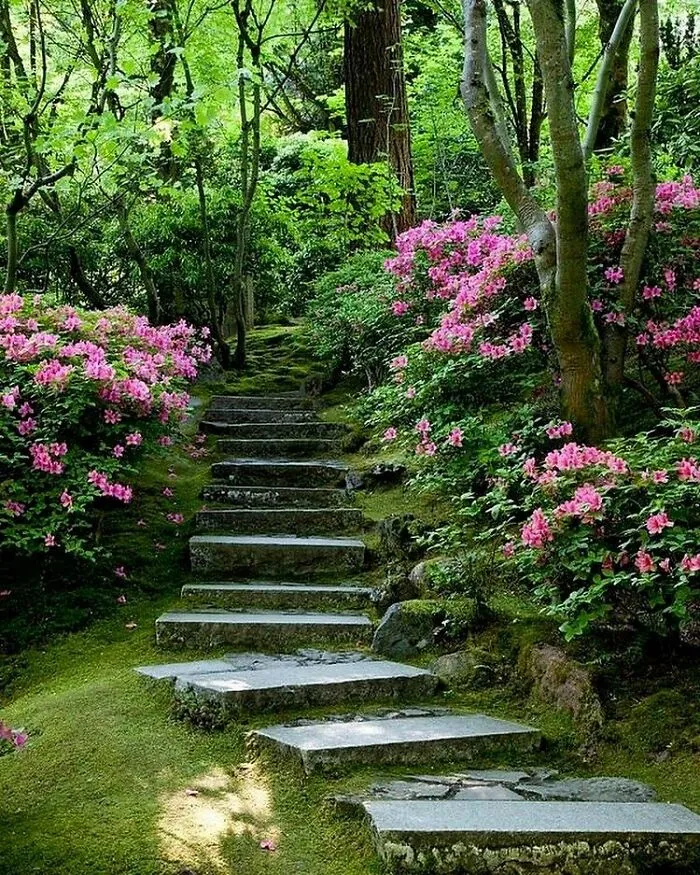 30 Awesome Examples Of Landscaping Done Right