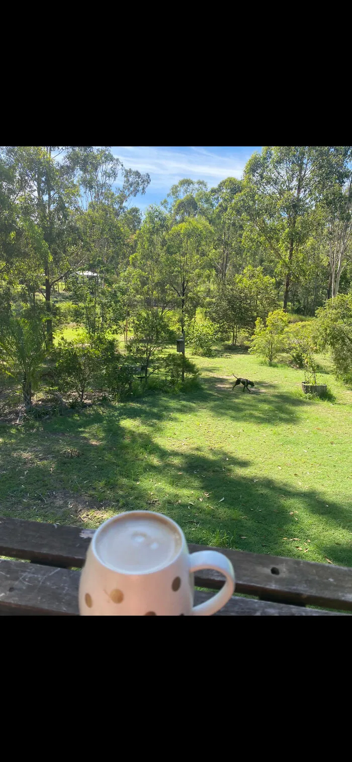 My Back Garden