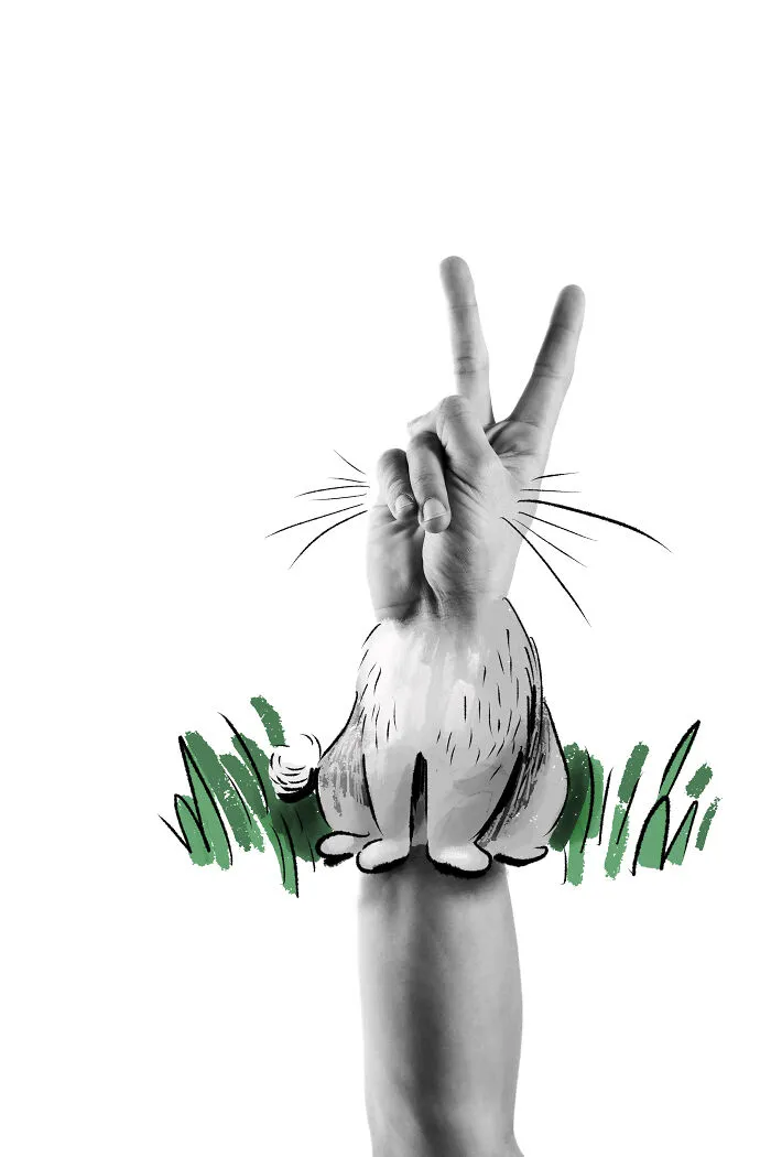 A Bit Of Rabbit