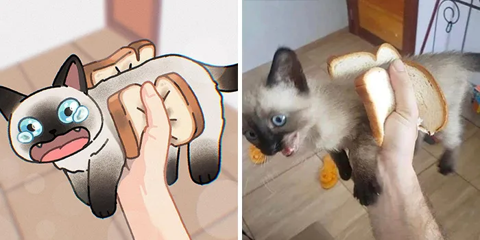 Funny Images Of Cats Found On The Internet Get Transformed Into Cute Illustrations By This Artist (31 Pics)