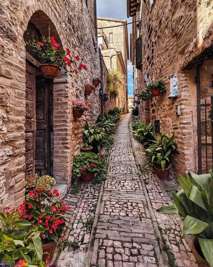 30 Awesome Examples Of Landscaping Done Right
