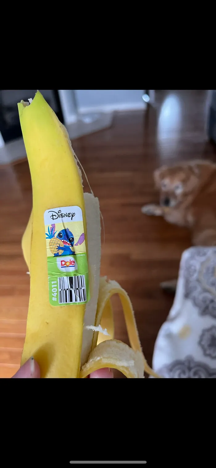 Whyyy