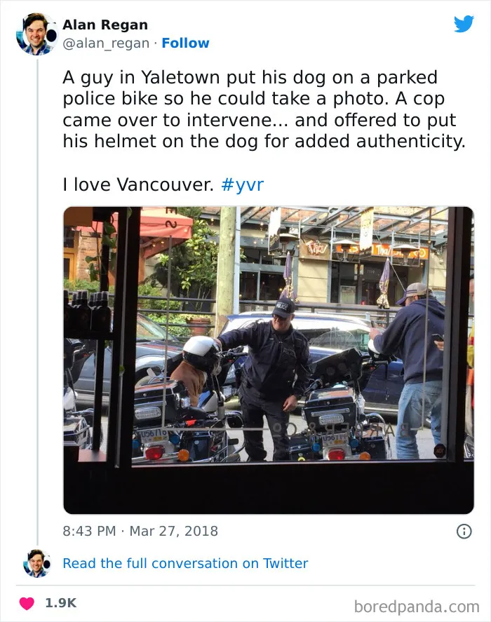 86 Funny Canadian Tweets That Tell It Like It Is