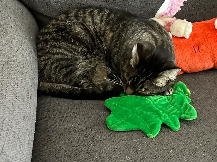 Awwww