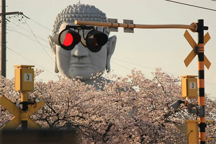 Buda con gafas de sol