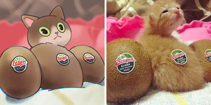 Funny Images Of Cats Found On The Internet Get Transformed Into Cute Illustrations By This Artist (31 Pics)