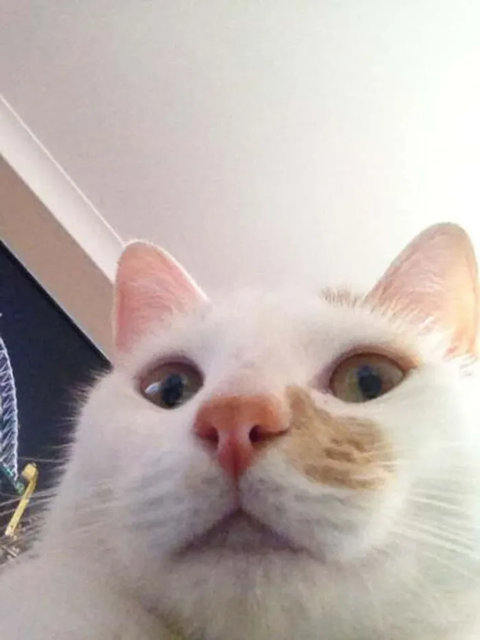 He Took The Picture Himself!