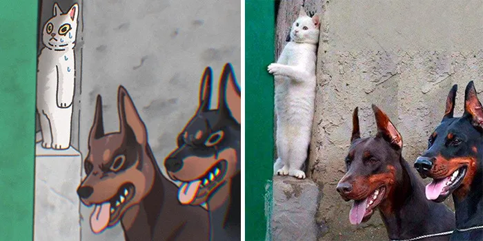 Funny Images Of Cats Found On The Internet Get Transformed Into Cute Illustrations By This Artist (31 Pics)