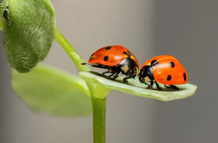 30 People Are Flexing Their Knowledge By Sharing The Most Interesting Random Facts They Know