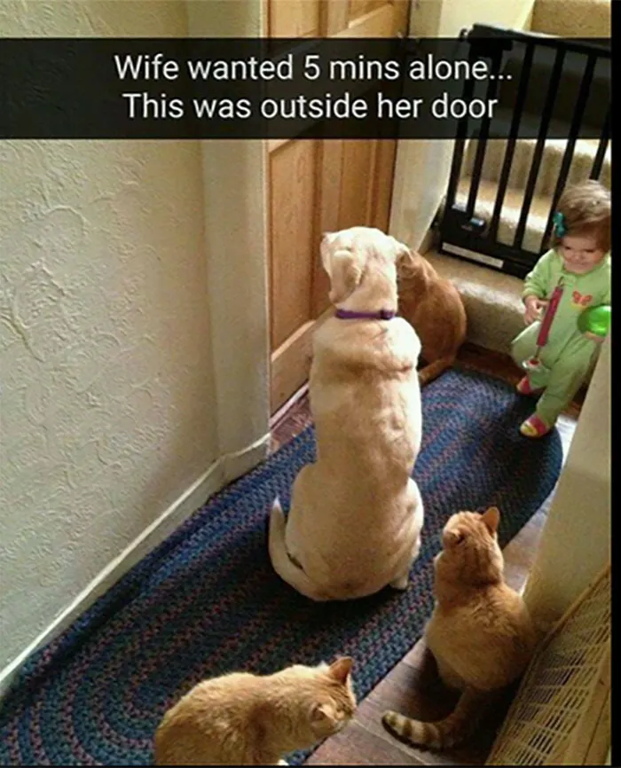 ‘Awkward Animals’: 50 Pics ‘For Animal Lovers Of All Kinds’