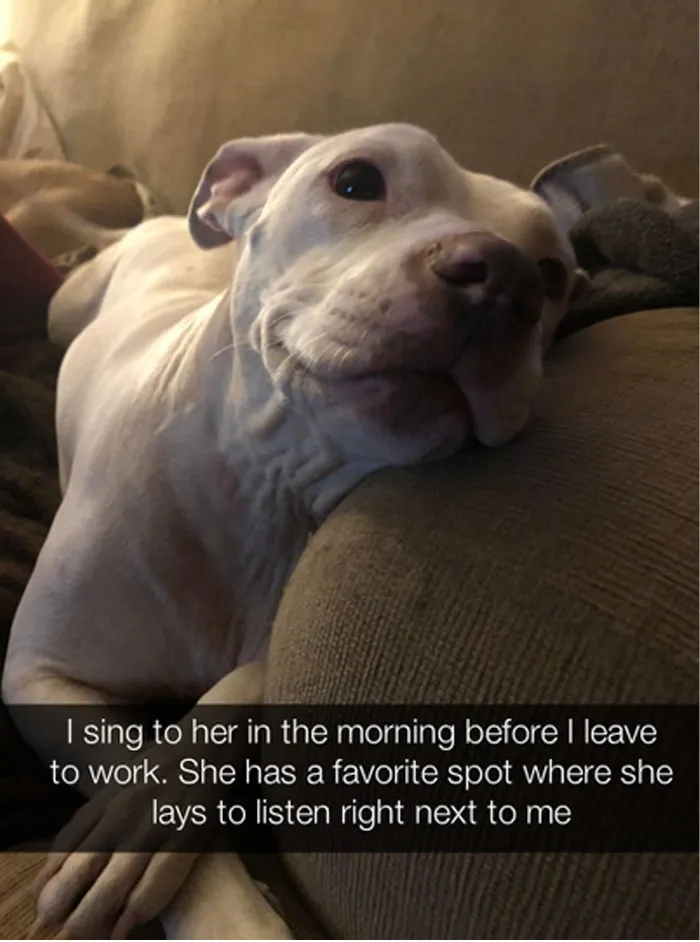 ‘Awkward Animals’: 50 Pics ‘For Animal Lovers Of All Kinds’