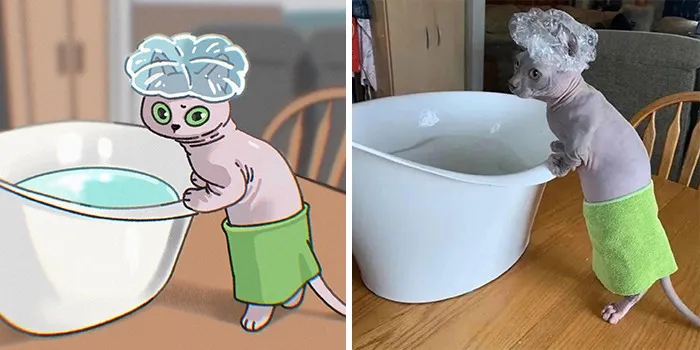 Funny Images Of Cats Found On The Internet Get Transformed Into Cute Illustrations By This Artist (31 Pics)
