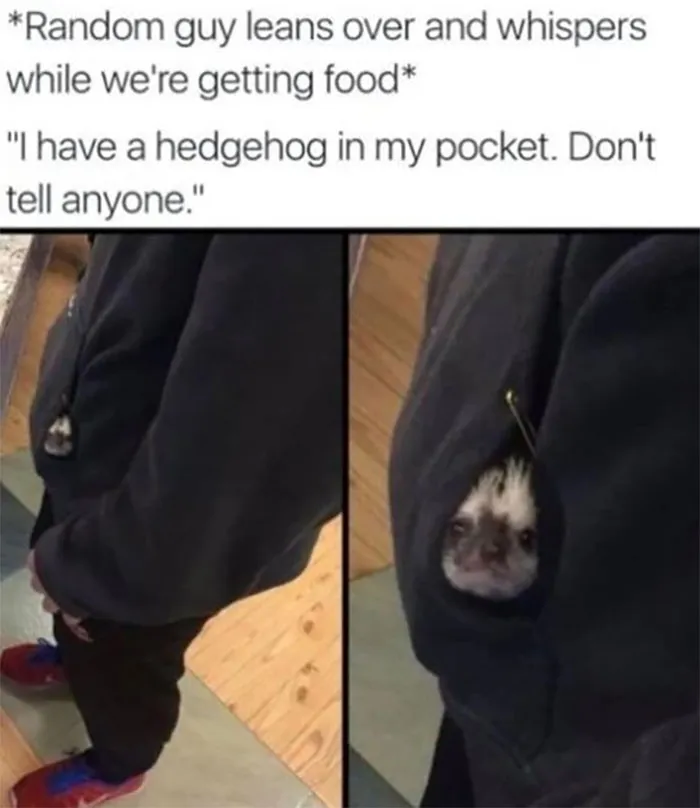 ‘Awkward Animals’: 50 Pics ‘For Animal Lovers Of All Kinds’