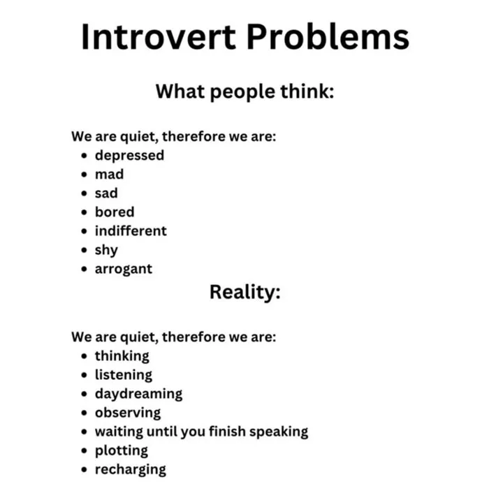 50 Introverts Share Spot-On And Funny Memes About Their Struggles On This Twitter Page