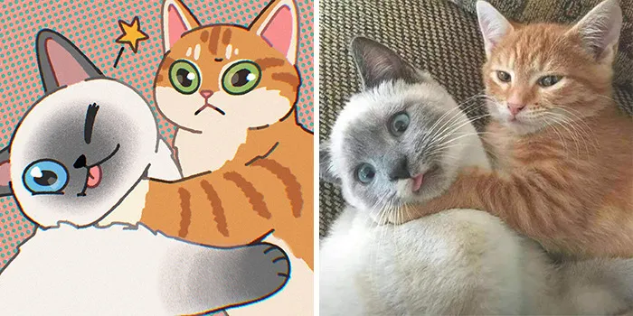Funny Images Of Cats Found On The Internet Get Transformed Into Cute Illustrations By This Artist (31 Pics)