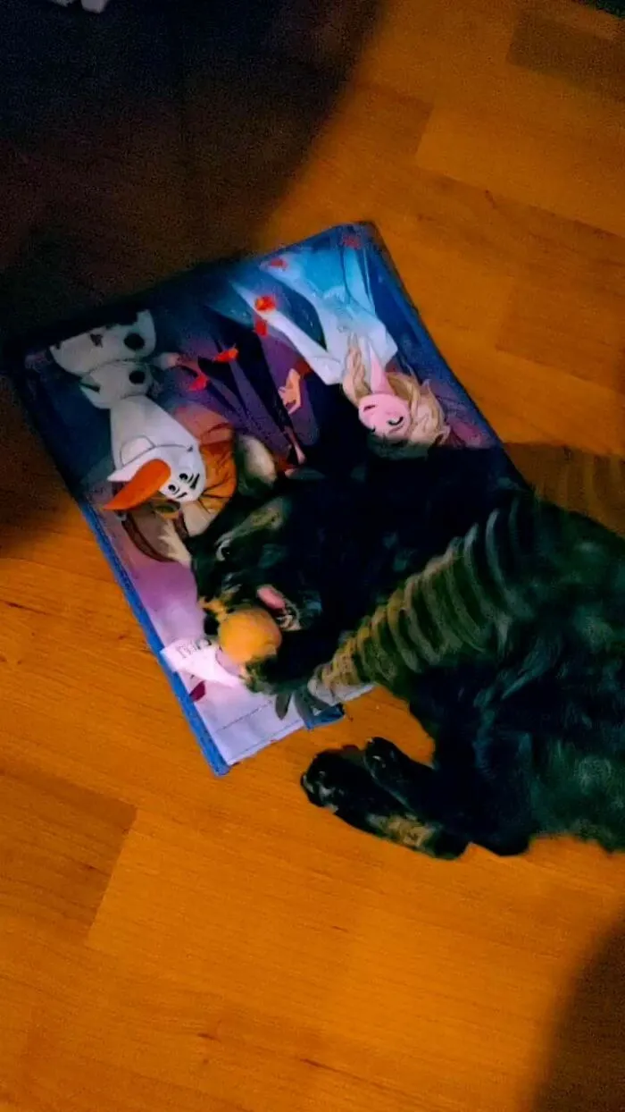 Cinder Chomp!