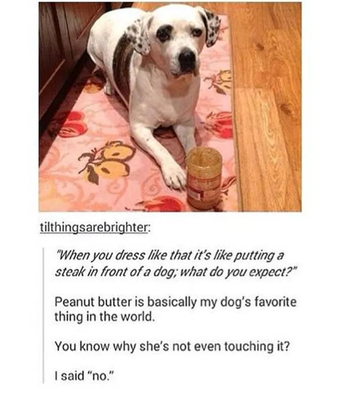 ‘Awkward Animals’: 50 Pics ‘For Animal Lovers Of All Kinds’