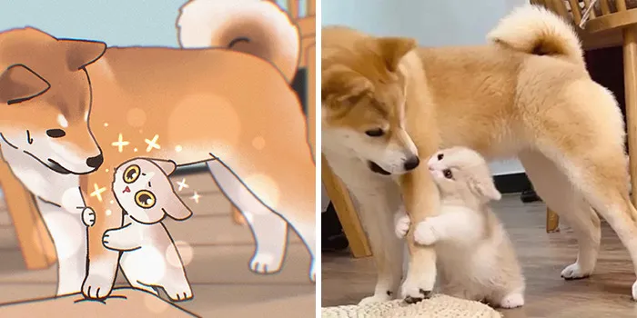 Funny Images Of Cats Found On The Internet Get Transformed Into Cute Illustrations By This Artist (31 Pics)