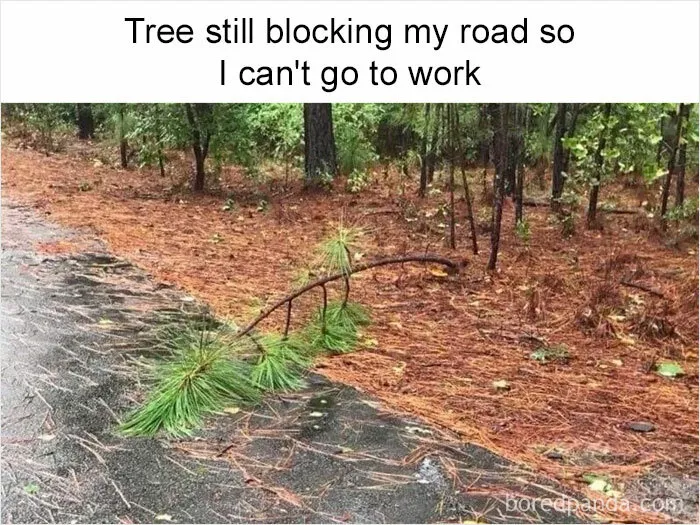 "I Feel Personally Attacked By This Meme": 40 Random Funny Memes That Hit Too Close To Home