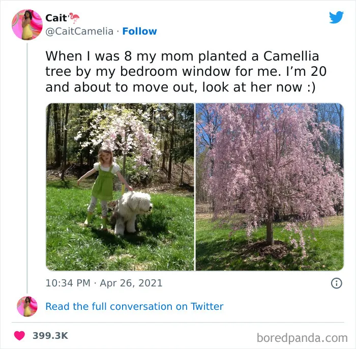 Blooming Love