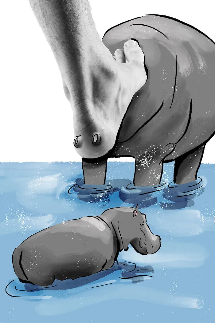 Hip Hop Hippos