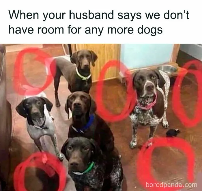 ‘Awkward Animals’: 50 Pics ‘For Animal Lovers Of All Kinds’