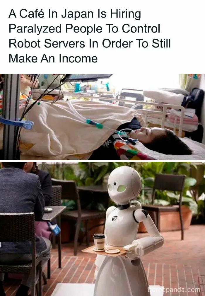 Cafe In Japan Gives An Oportunity To Paralyzed People To Feel Fulfilled