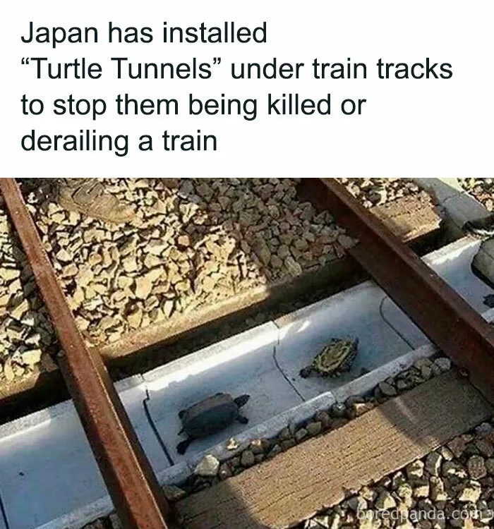 Why Is Japan Just So Great