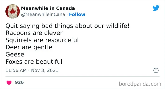 86 Funny Canadian Tweets That Tell It Like It Is