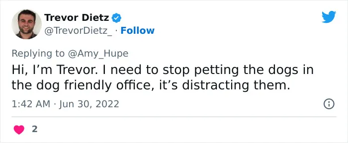 Someone Tweets, “Introduce Yourself With The Wildest Feedback You’ve Ever Received” And 50 People Don’t Hold Back