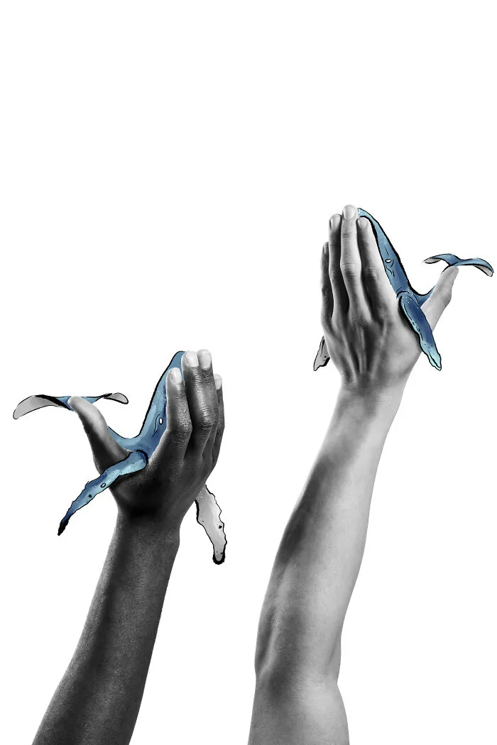 Whales
