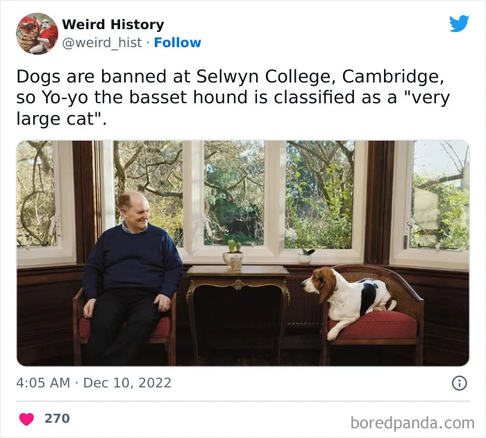 ‘Weird History’ Is An Account That Shares Interesting, Odd, And Funny Things That Happened Throughout History (40 New Pics)