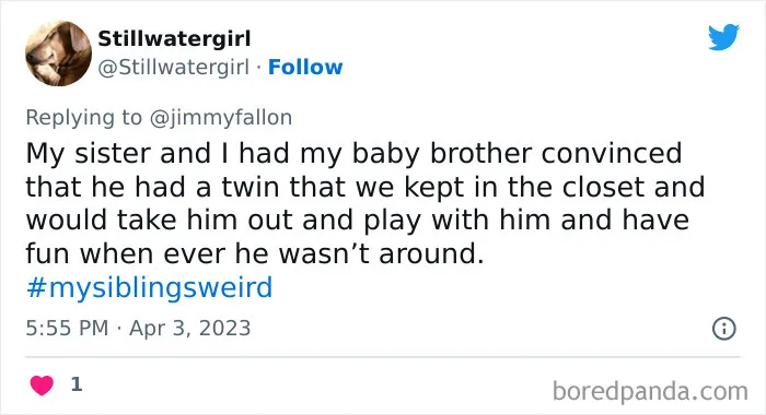 30 Of The Best Answers To Jimmy Fallon’s “My Sibling’s Weird” Challenge