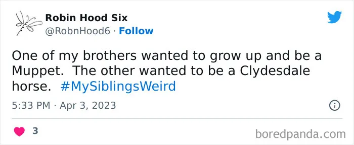 30 Of The Best Answers To Jimmy Fallon’s “My Sibling’s Weird” Challenge