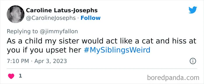 30 Of The Best Answers To Jimmy Fallon’s “My Sibling’s Weird” Challenge