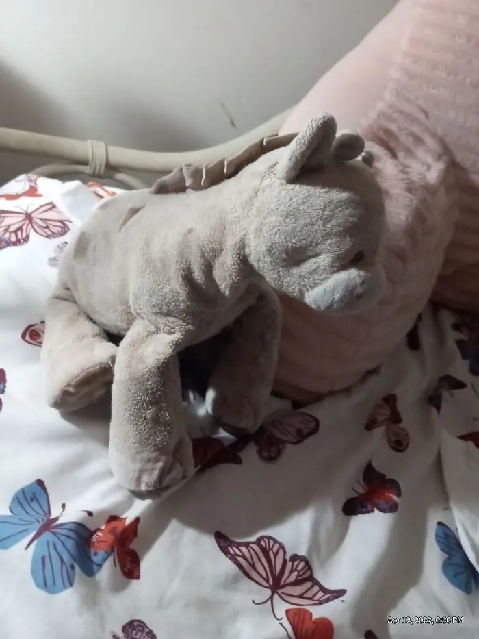 This Is Gigi. My Dad Got Her For Me Before I Was Even Born. Shes The Only Person Who Is There For Me Through Thick Or Thin. She Turned 13 A Few Months Ago! She Is The Best Giraffe Ever. No Questions Asked