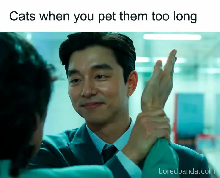 50 Sarcastic Memes To Laugh At When Everything Around You Tickles Your Nerves, As Shared On This Instagram Account
