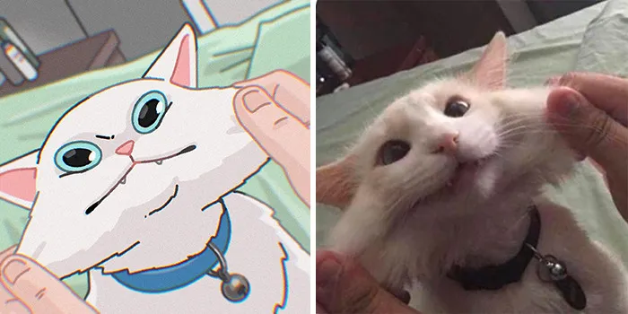 Funny Images Of Cats Found On The Internet Get Transformed Into Cute Illustrations By This Artist (31 Pics)