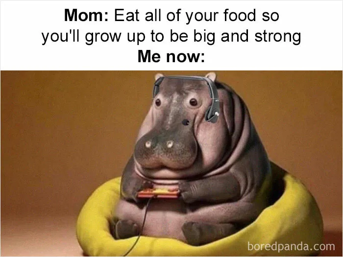 "I Feel Personally Attacked By This Meme": 40 Random Funny Memes That Hit Too Close To Home