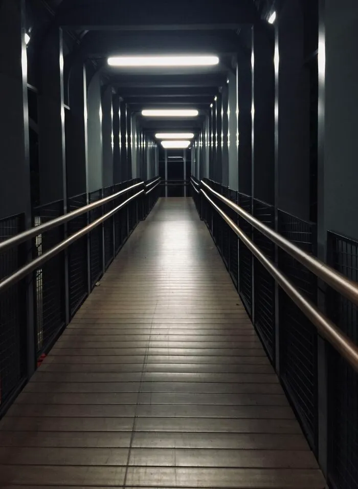 Pedestrian Overpass To My Bus Stop From Work