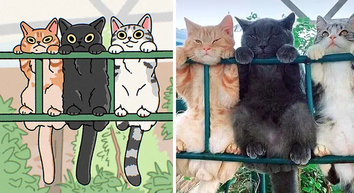 Funny Images Of Cats Found On The Internet Get Transformed Into Cute Illustrations By This Artist (31 Pics)