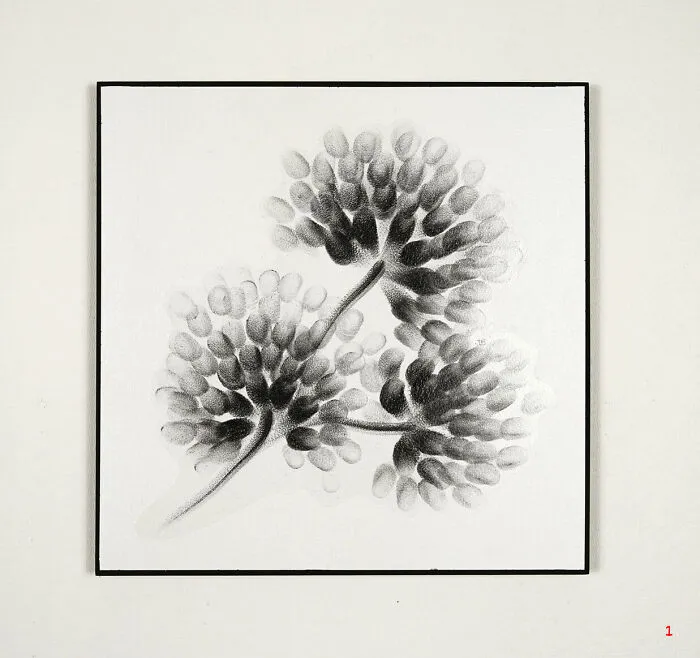 30 Incredible Drawings That Were Painted With Nothing But Fingers And Charcoal Dust By Judith Braun