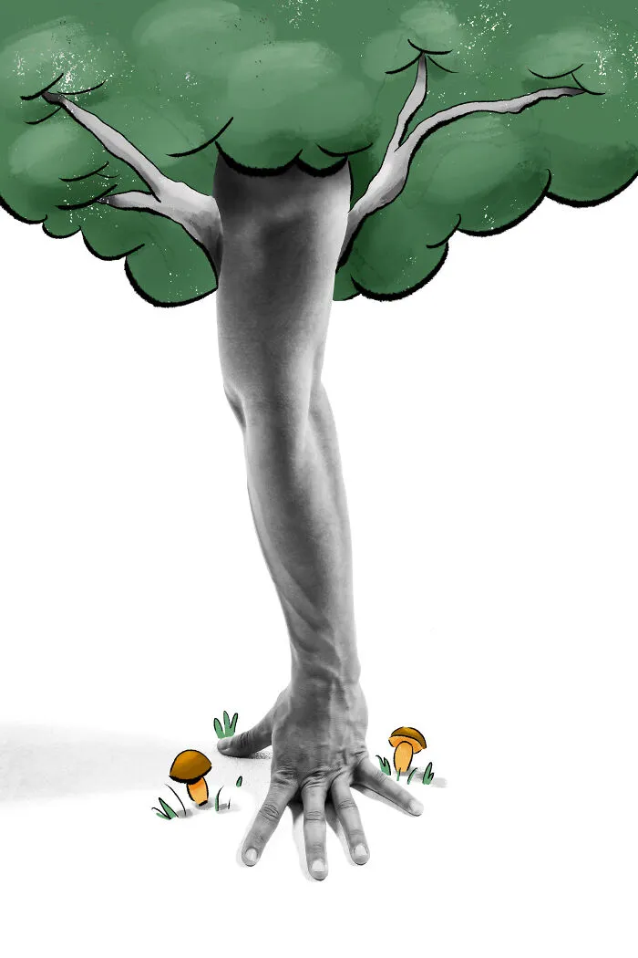 Trunk