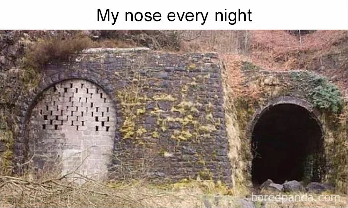 "I Feel Personally Attacked By This Meme": 40 Random Funny Memes That Hit Too Close To Home