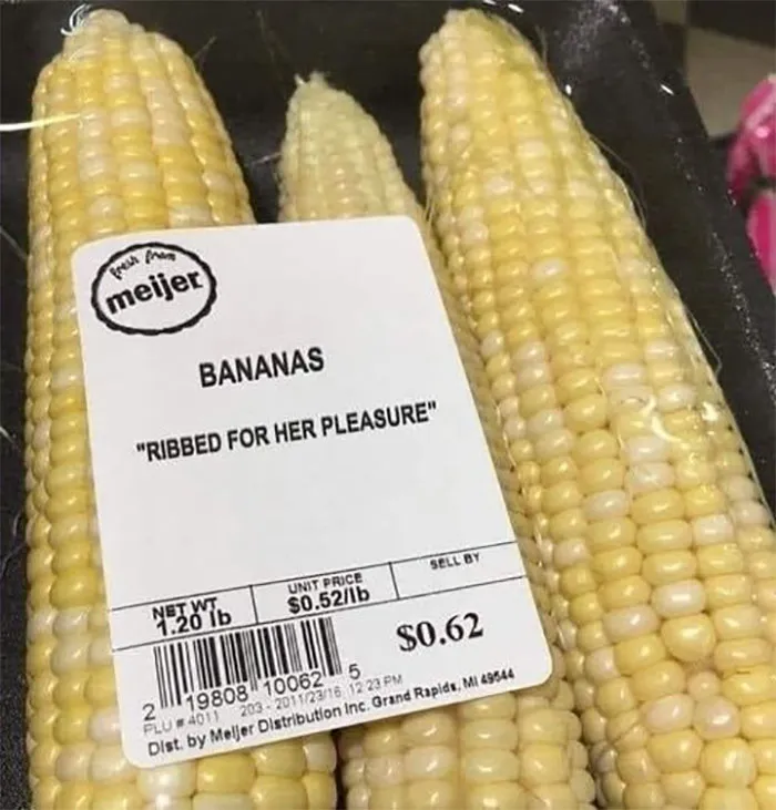 50 Things In Places They Shouldn’t Be That Are Both Hilarious And Concerning (New Pics)