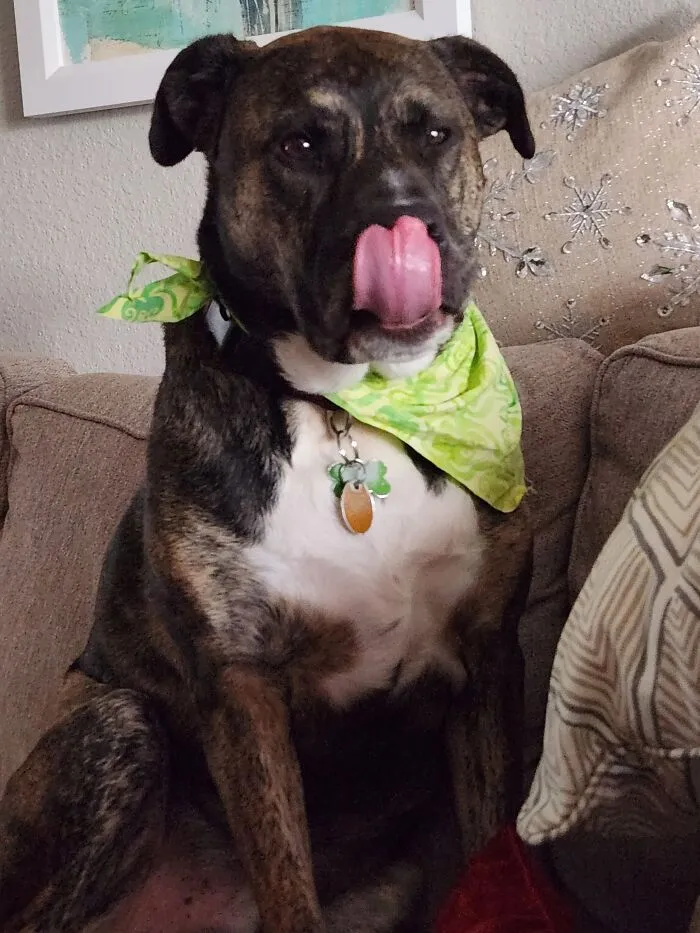 A Bub Named Crowley