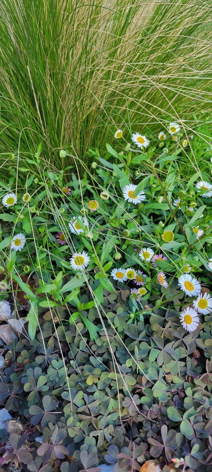 Spring Has Sprung