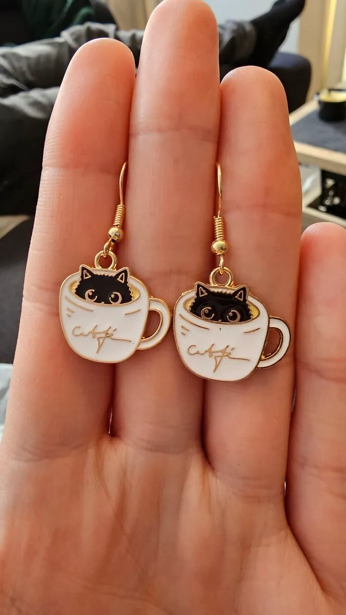 A Cup Of Cattochino